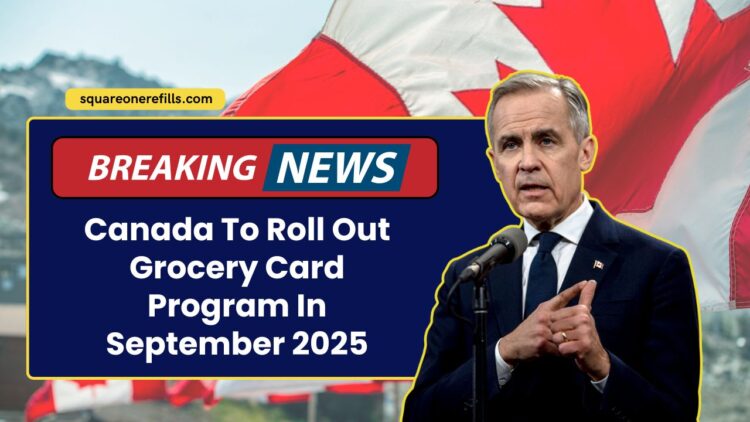 Canada To Roll Out Grocery Card Program In September 2025 – Check Eligibility Now